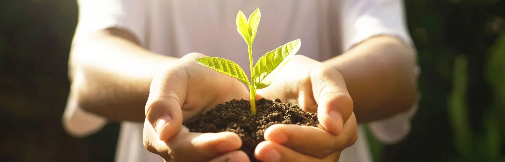 Creating a Sustainable Future with ESG by ERA